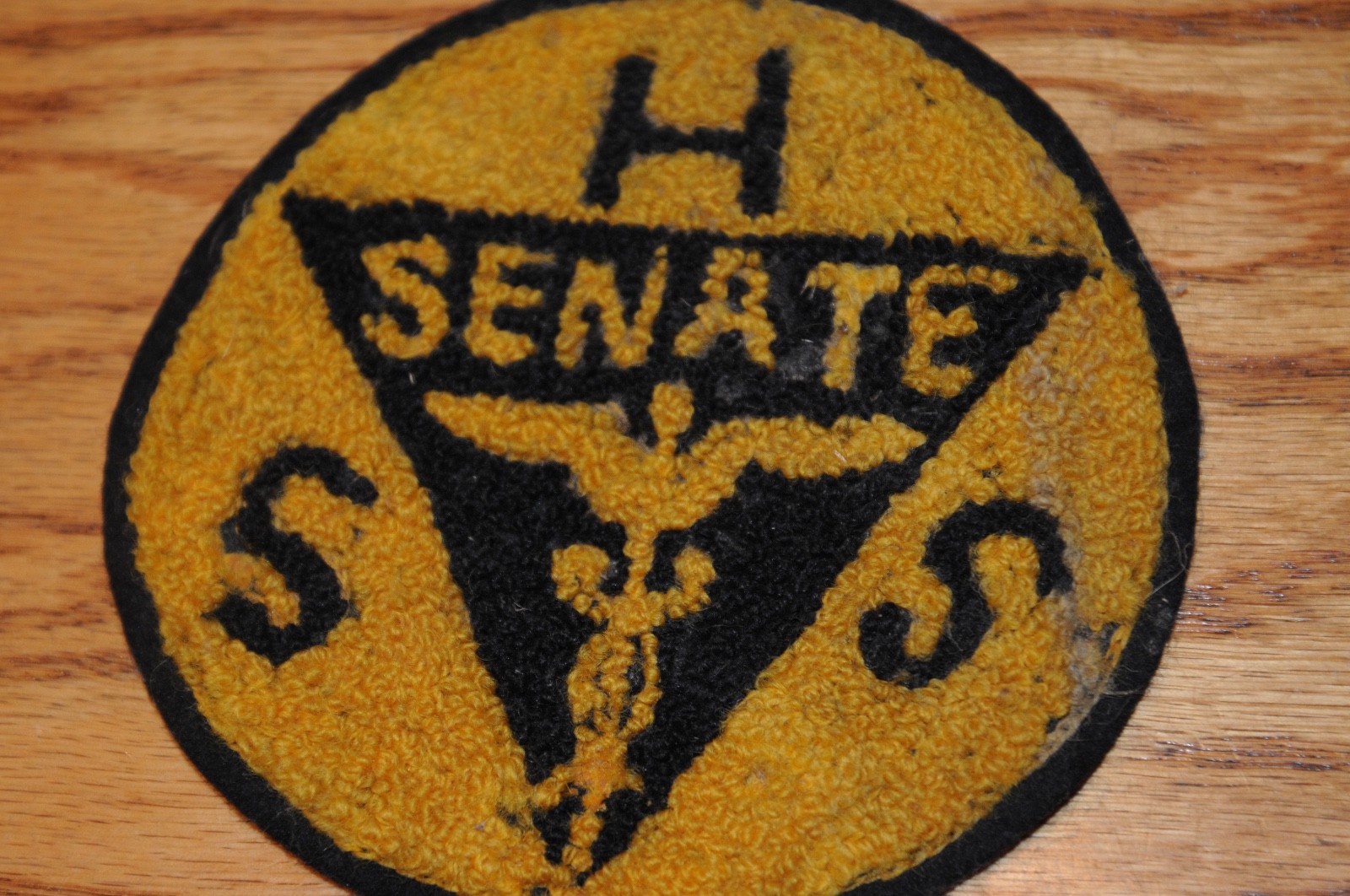 Vint. Rare Health Services Patch HSS Senate Historical Memorabilia Political US*