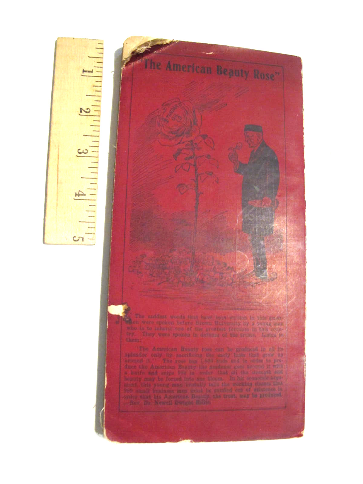 ORIGINAL CAMPAIGN TEXT BOOK DEMOCRATIC PARTY OF THE UNITED STATES 1908 289 PAGES