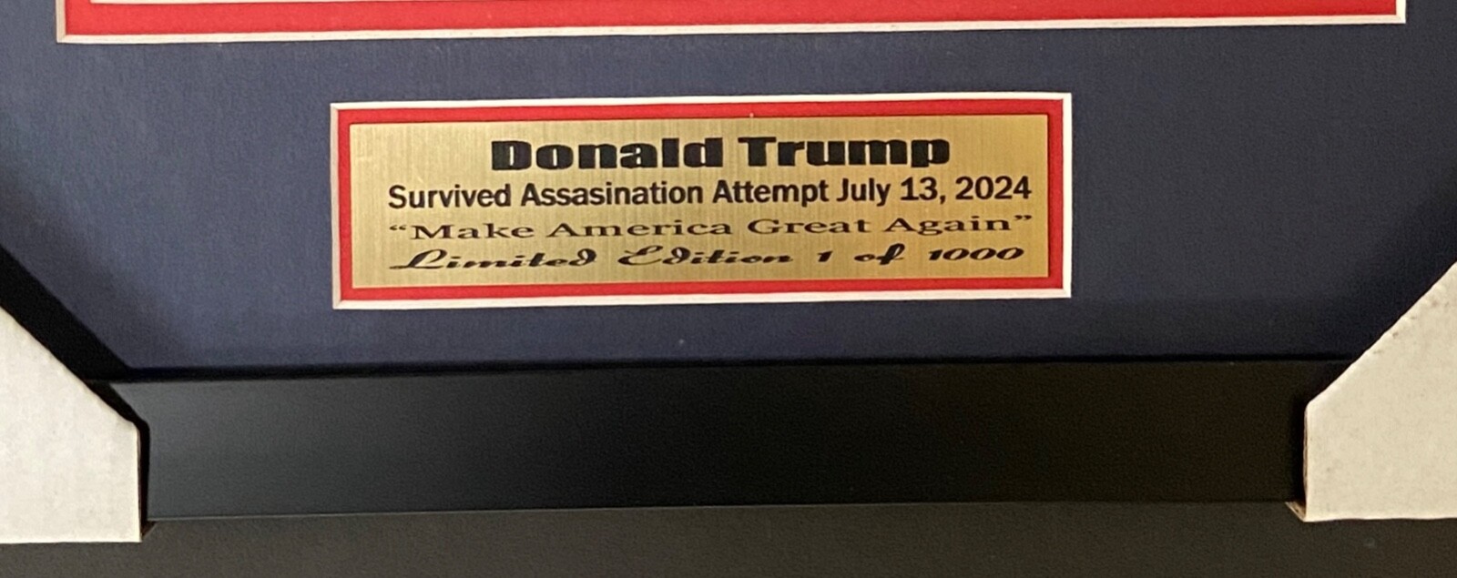 Donald Trump Assassination Attempt Survival – 8×10 Frame Limited Edition