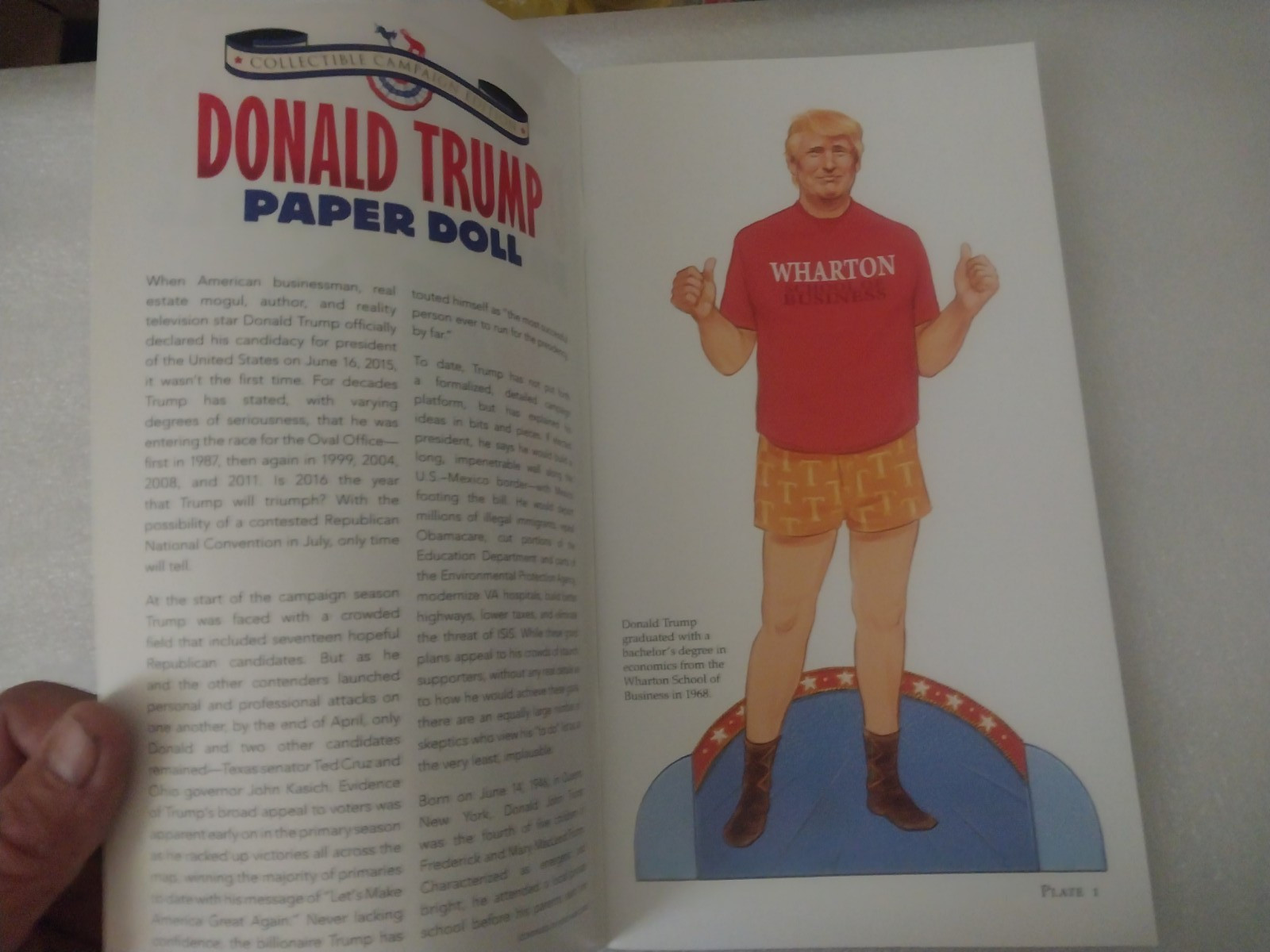 Donald Trump paper doll book by Tim Foley (Collectible Campaign Edition) 2016