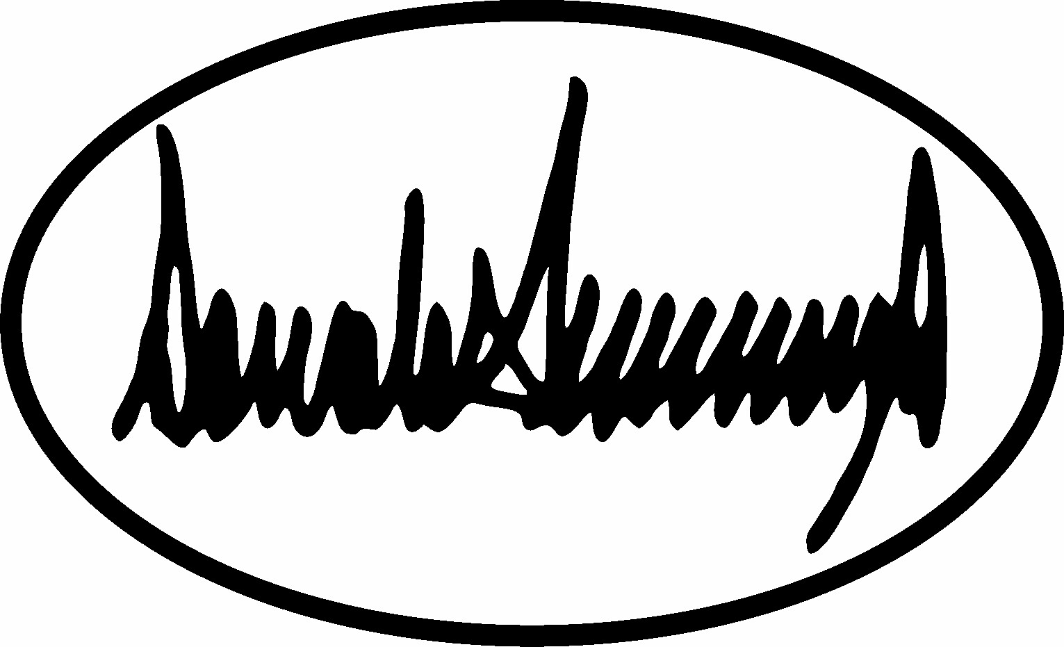TRUMP 2020 SIGNATURE AUTOGRAPH DEPLORABLE MAGA STICKER DECAL WINDOW BUMPER