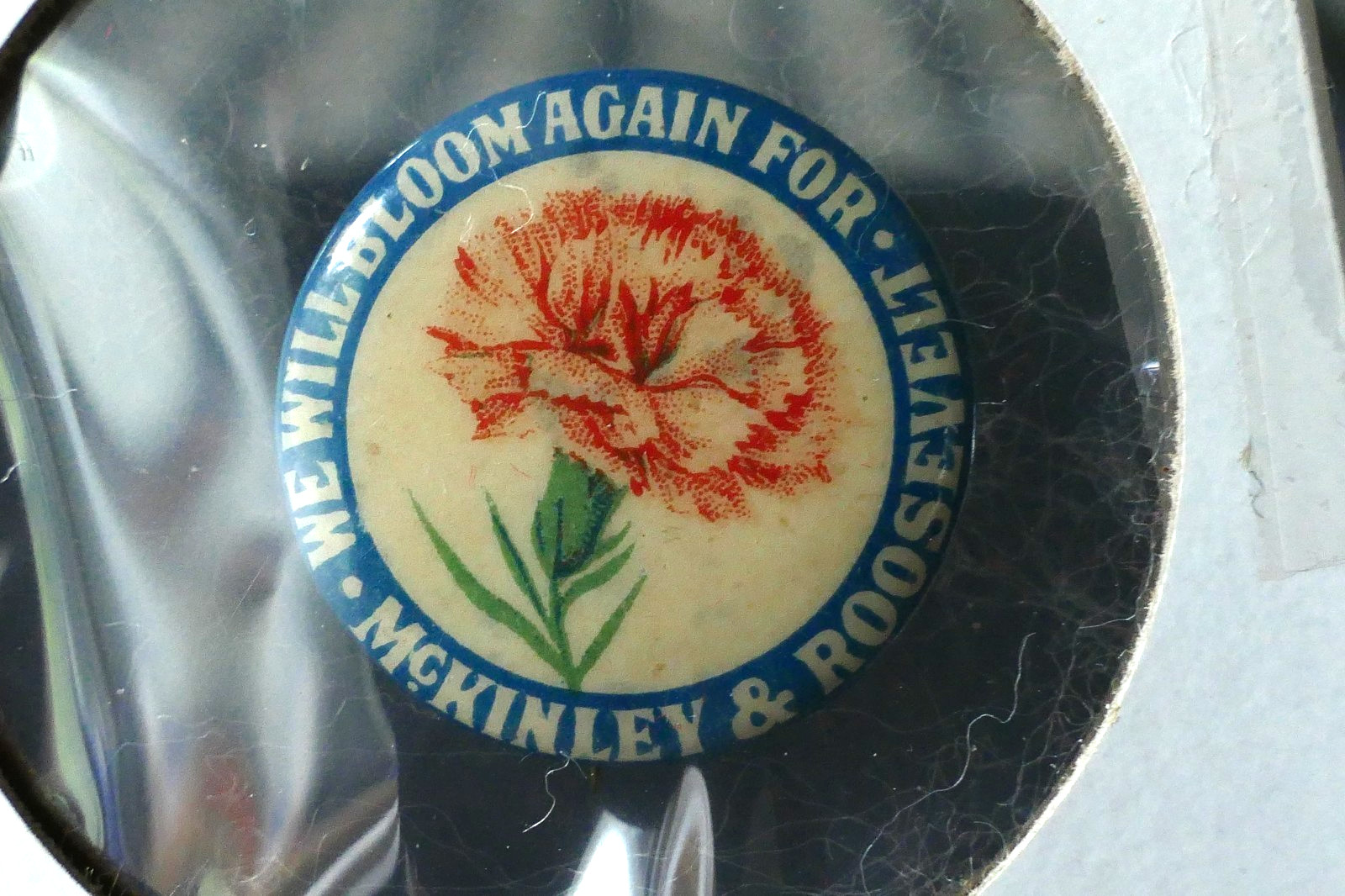 Rare 1900 We Will Bloom Again For William McKinley Teddy Roosevelt Button 13/16″
