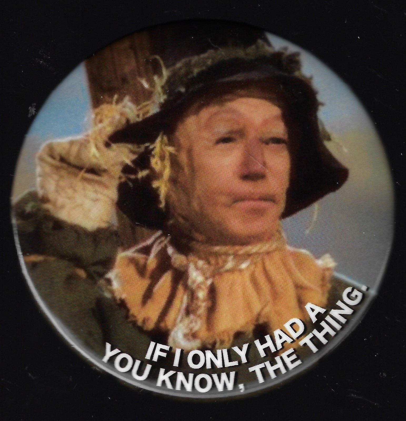 anti Joe Biden Political Button If I Only Had the Thing (Brain) Oz Scarecrow