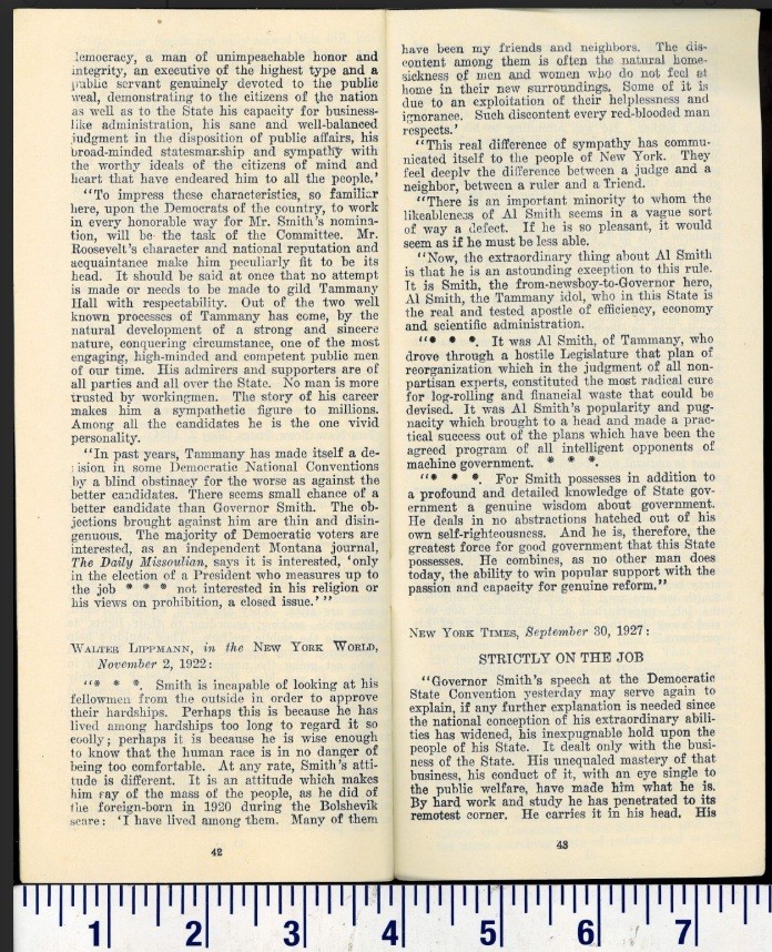 1928 WHAT EVERYBODY WANTS TO KNOW GOV ALFRED SMITH DEMOCRAT NOMINEE HOOVER NY
