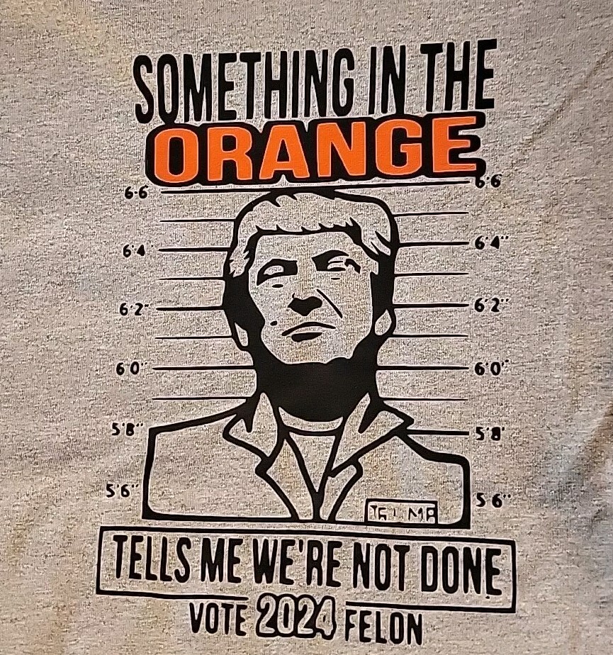 Donald Trump 2024 Election (Size XL) T-shirt Something In The Orange