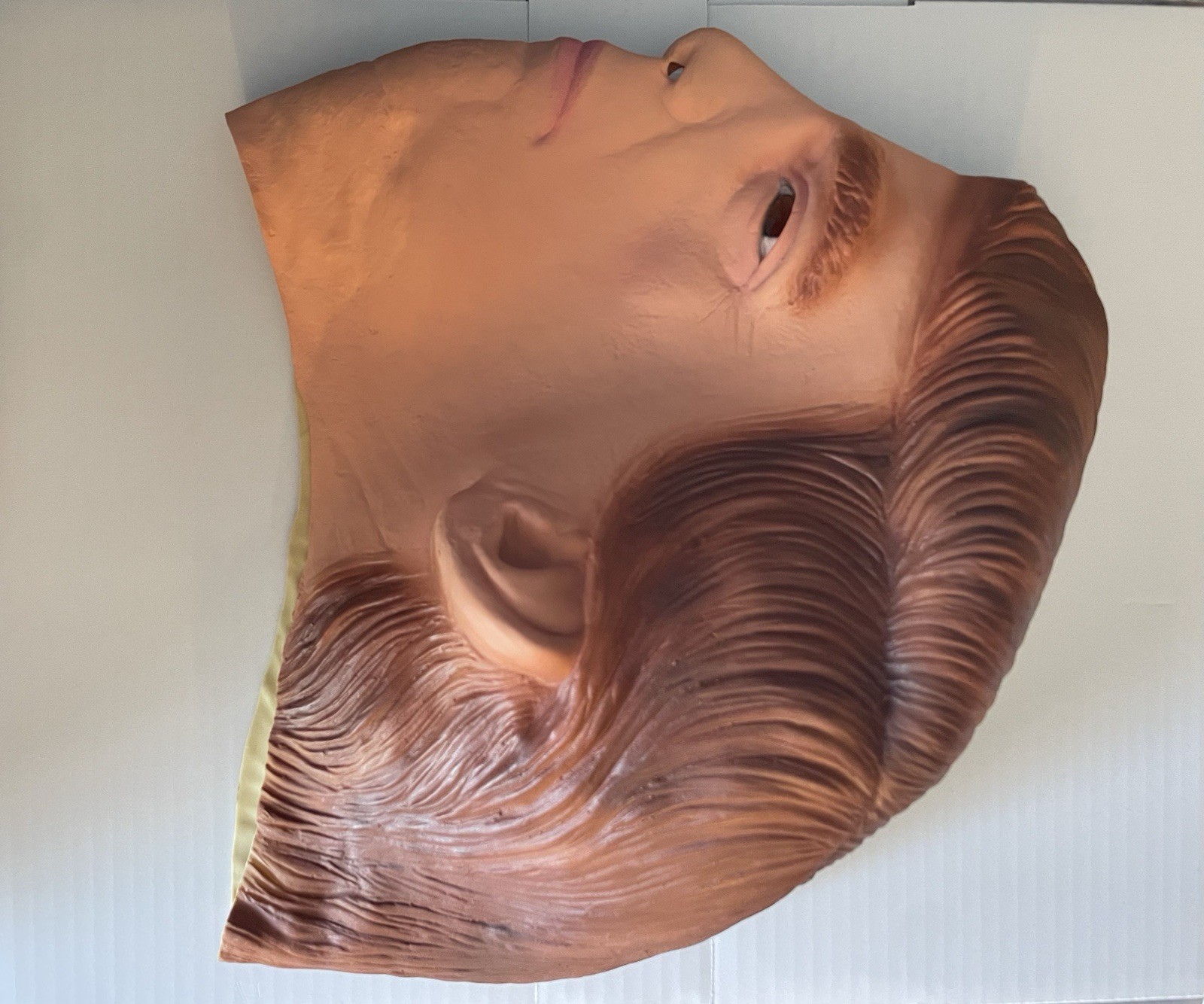 President Donald Trump Adult Mask Republican Gag Gift