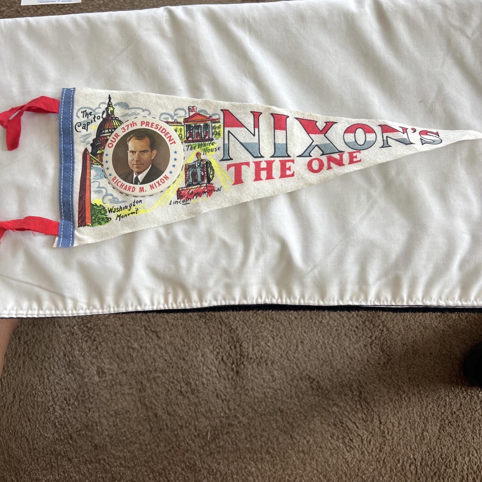 “Nixon’s The One” Full Color Original Photo Pennant