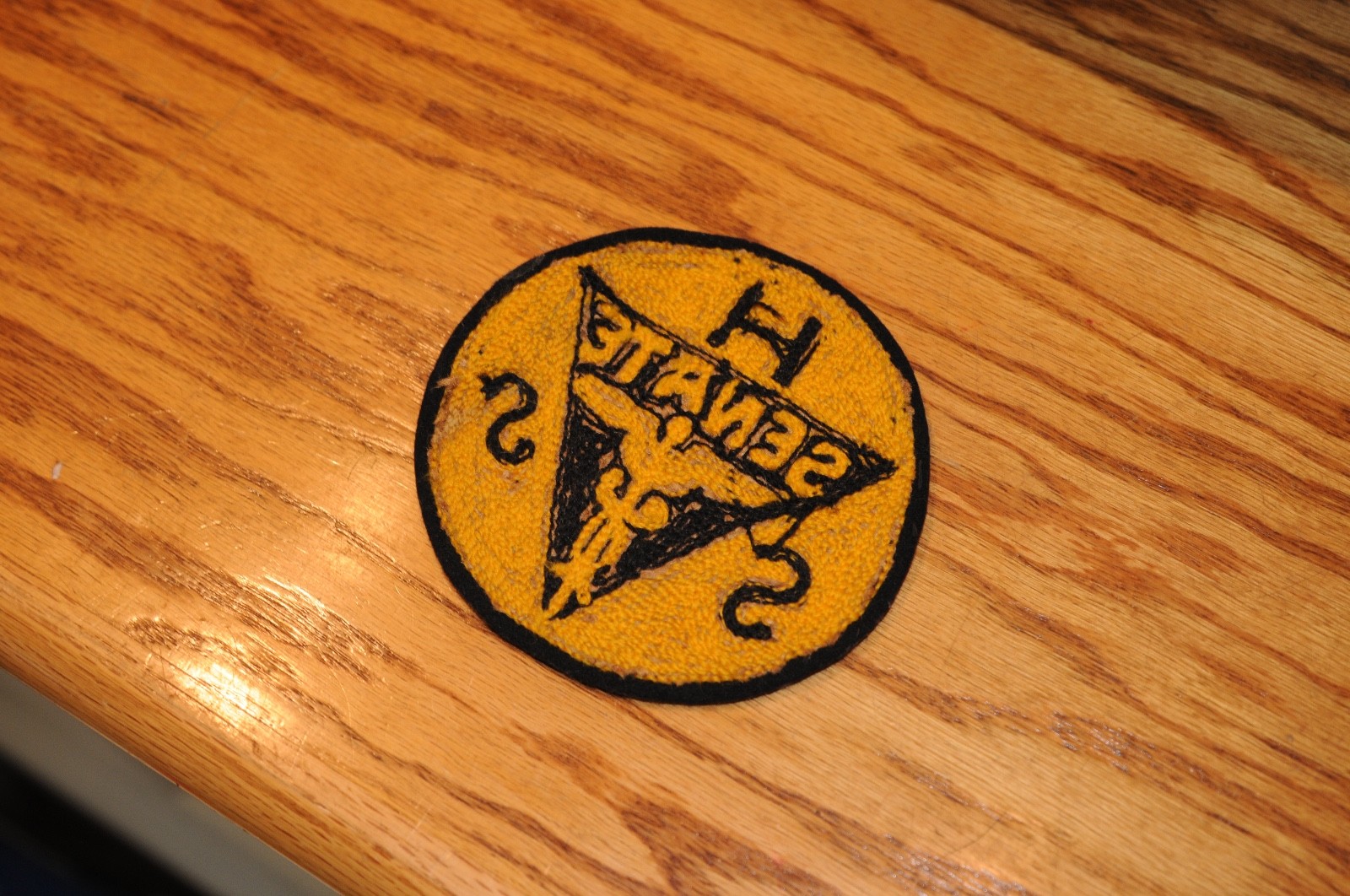 Vint. Rare Health Services Patch HSS Senate Historical Memorabilia Political US*