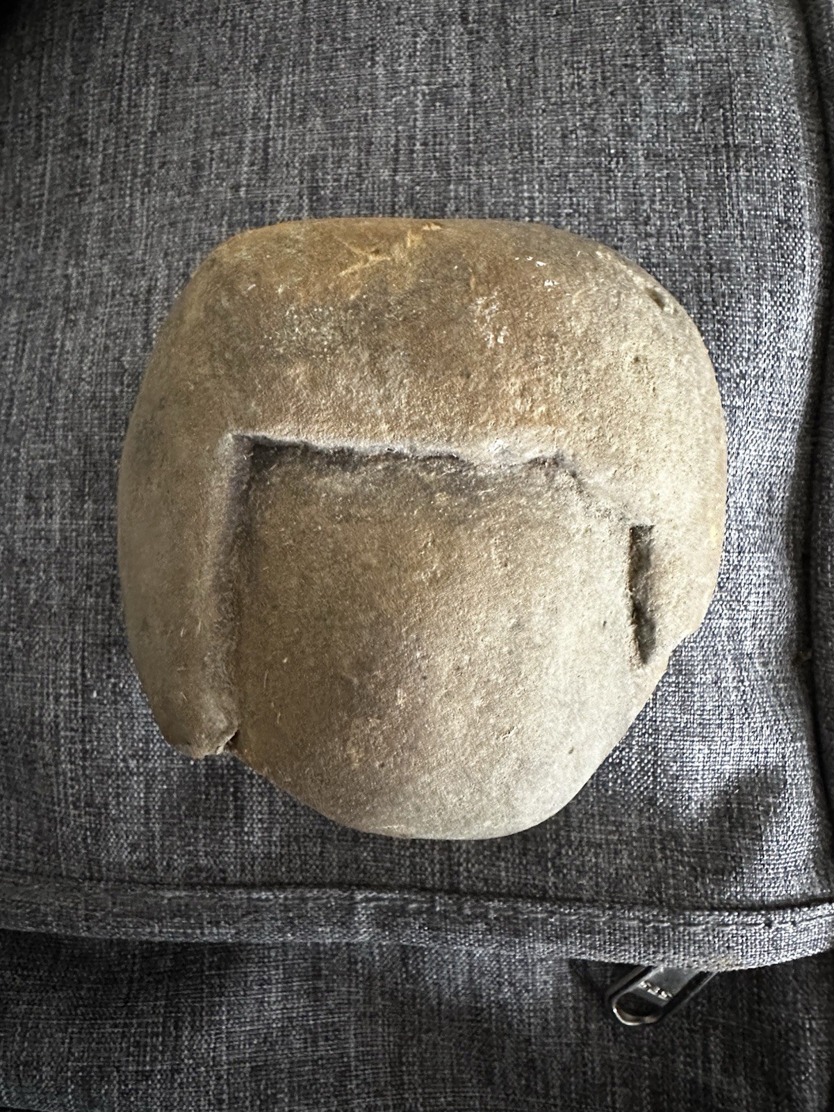 Donald Trump Rock