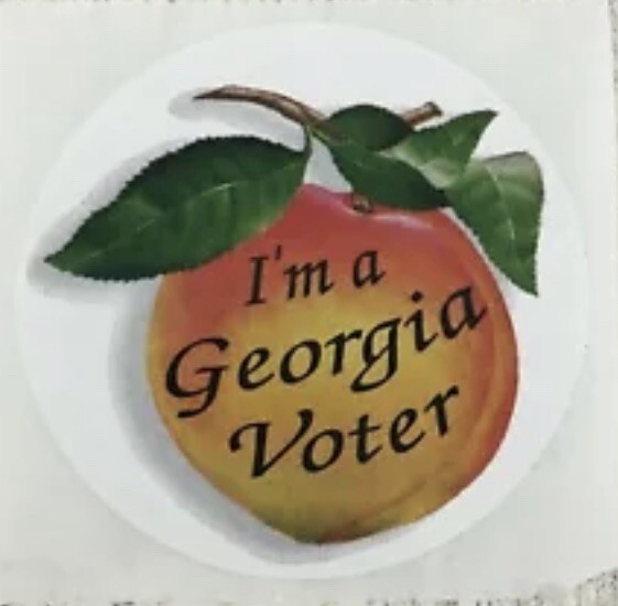 GA I Voted Georgia Voting Sticker Politics Republican Democrat NEW