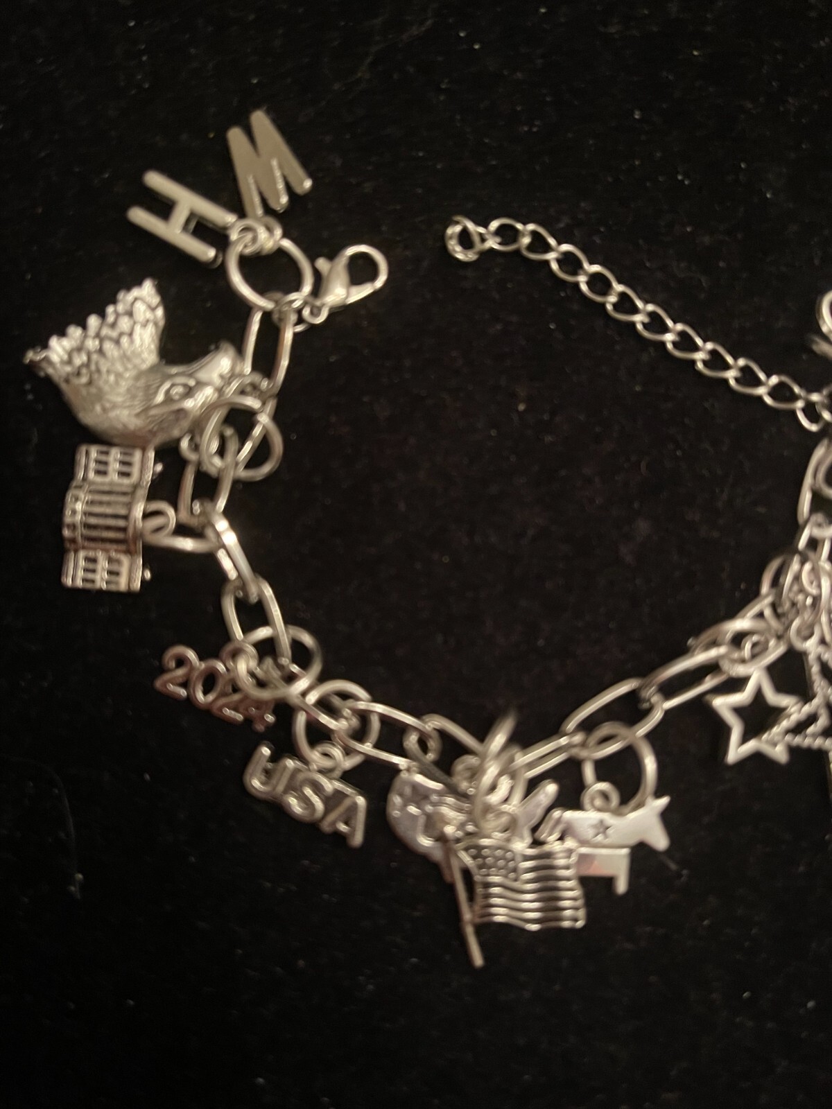 DEMOCRAT silver Tone Bracelet 6″ with 2″ extender