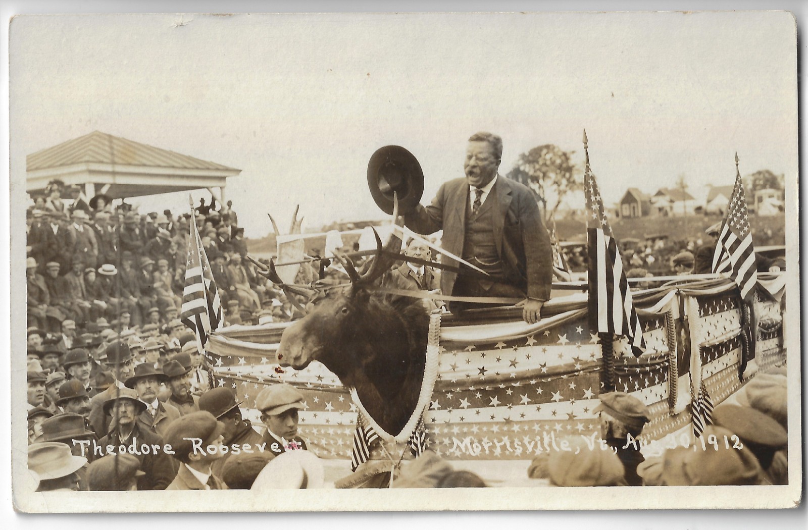 1912 Teddy Roosevelt Bull Moose Prez Campaign Postcard Stuffed Head Mascot in VT