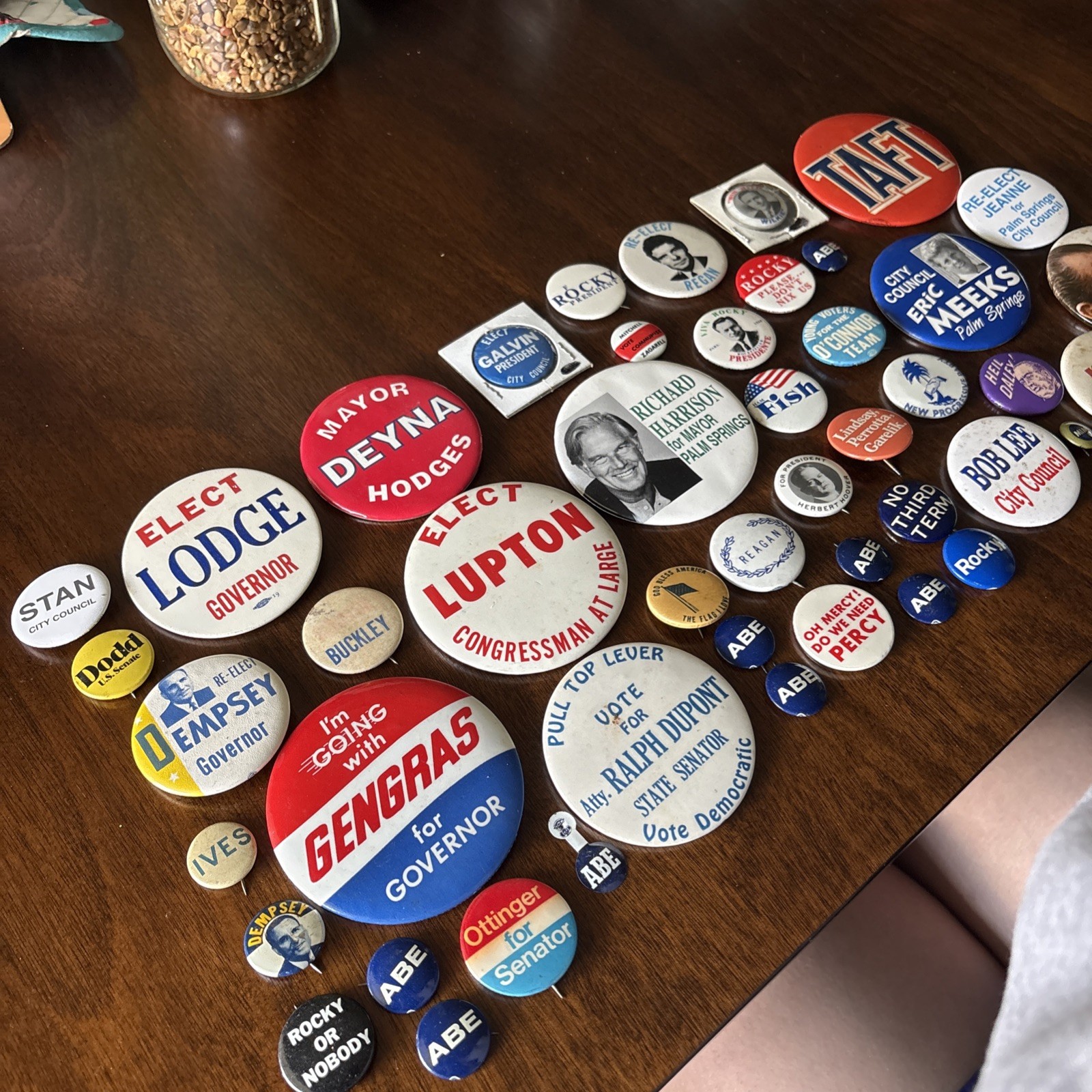 47 Poltitcial Campaign Buttons