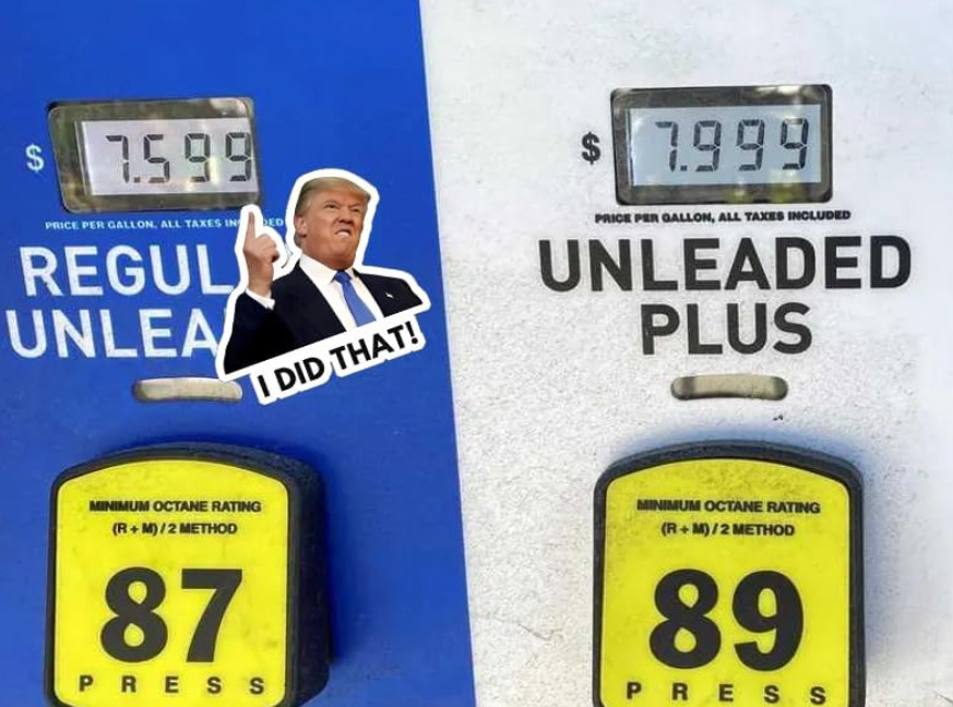 TRUMP – I did that! – 100 Sticker Pack! – Waterproof Printed Decal / Sticker, C