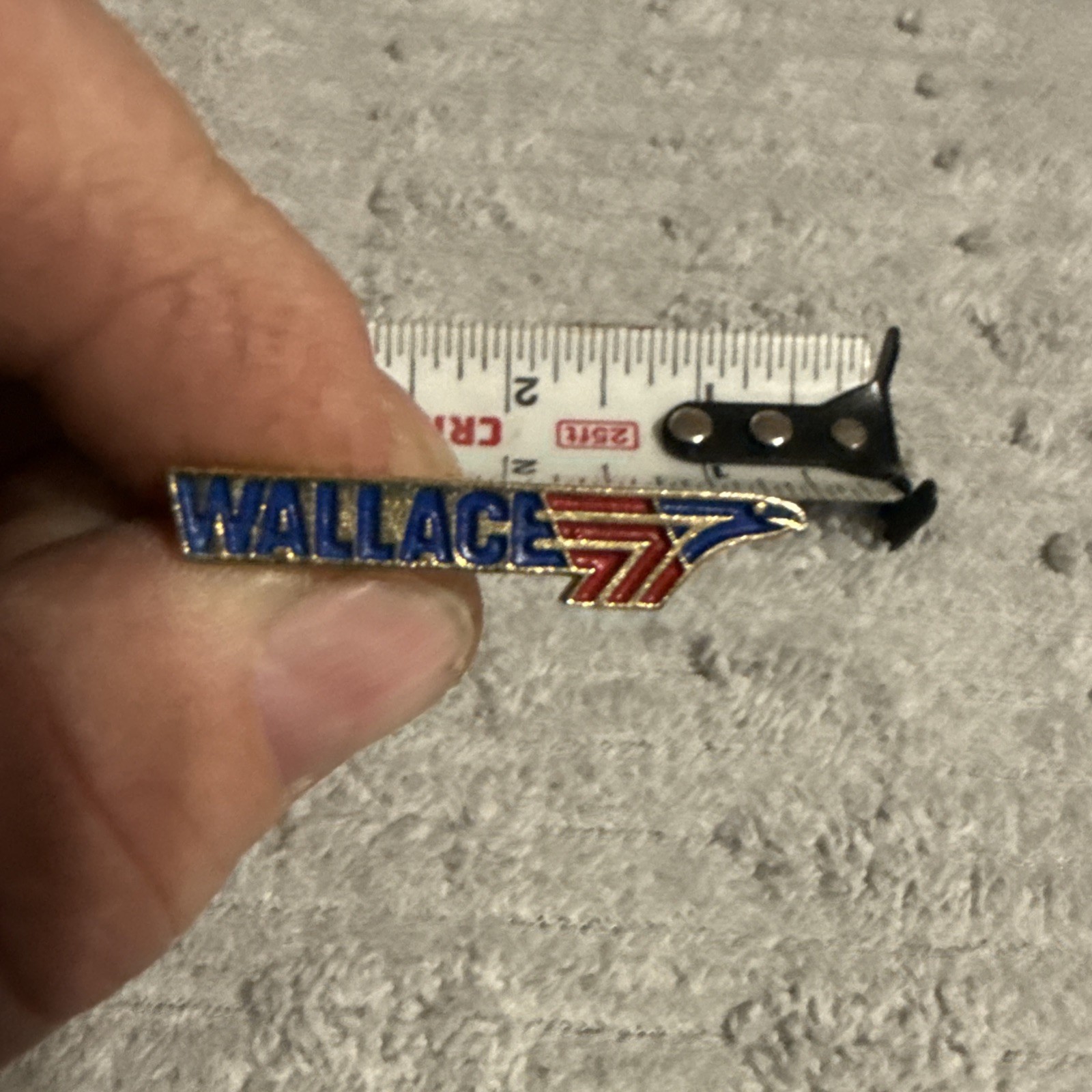 1968/1972 Presidential Candidate George Wallace Campaign Lapel Pin