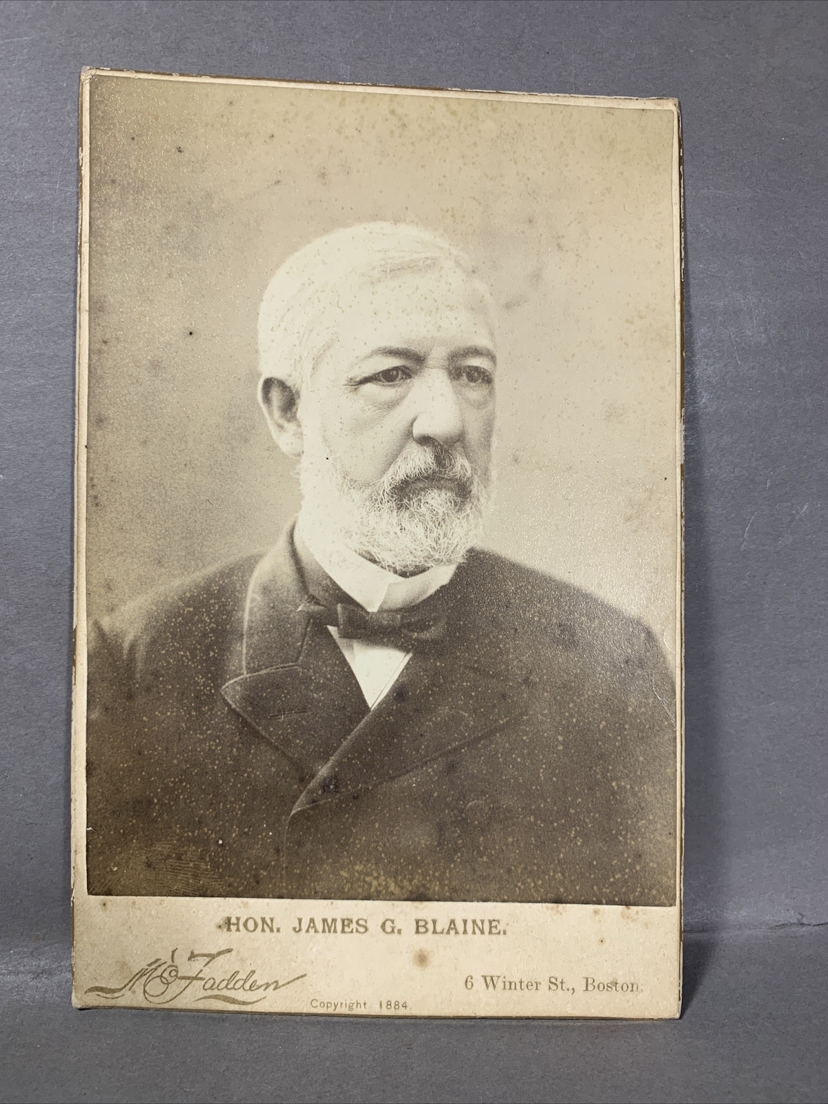 Life of James G. Blaine Presidential Candidate Maine Photograph & Book Lot