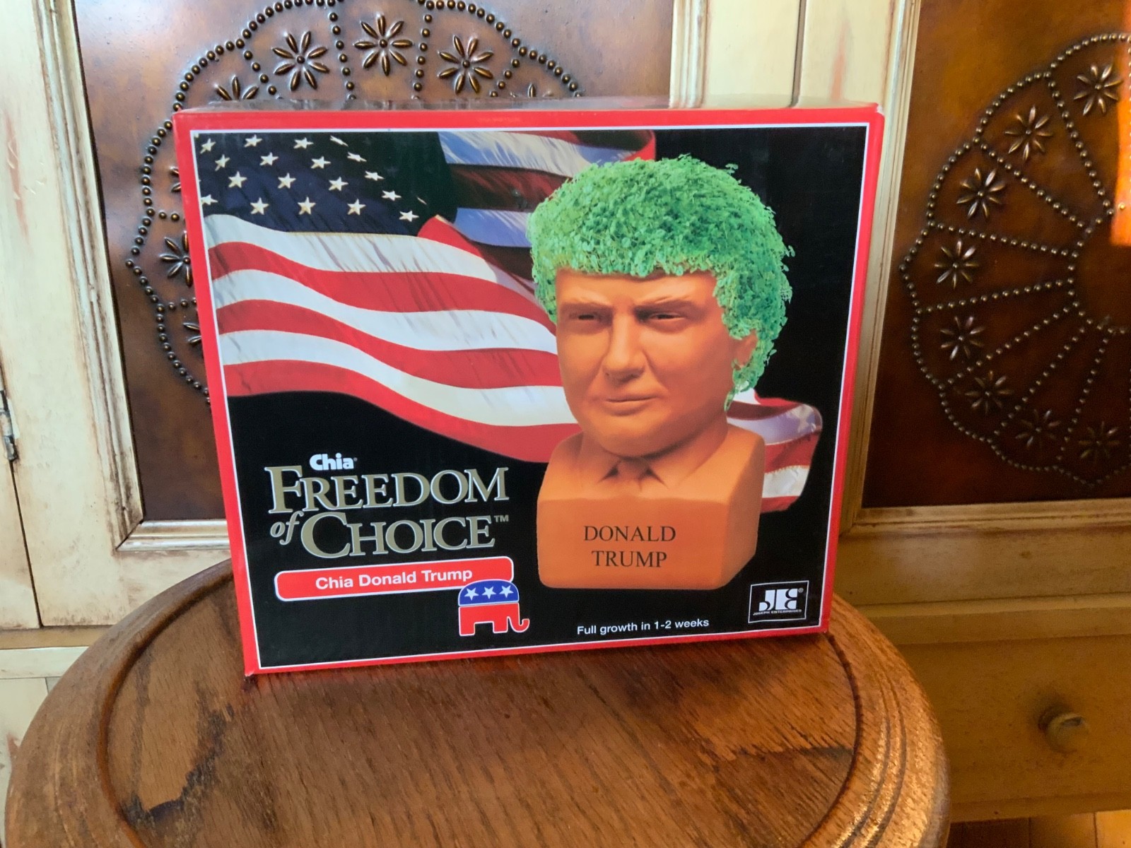 Donald Trump Chia