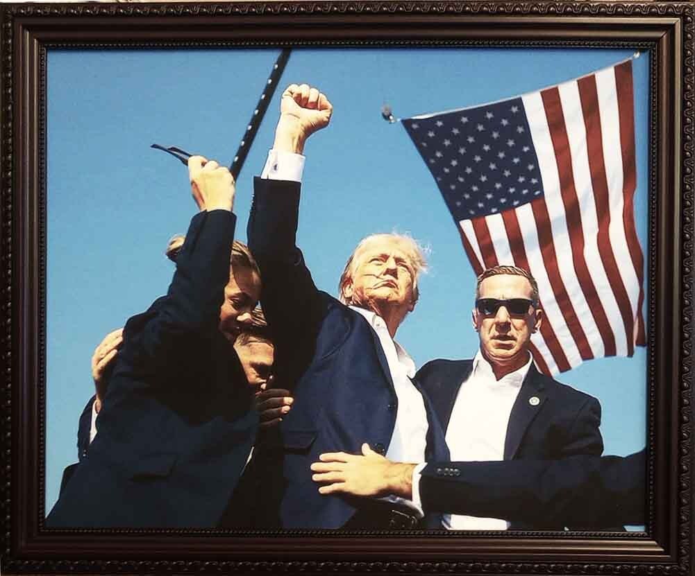 Donald Trump Assassination attempt July 2024 Pennsylvania framed canvas picture