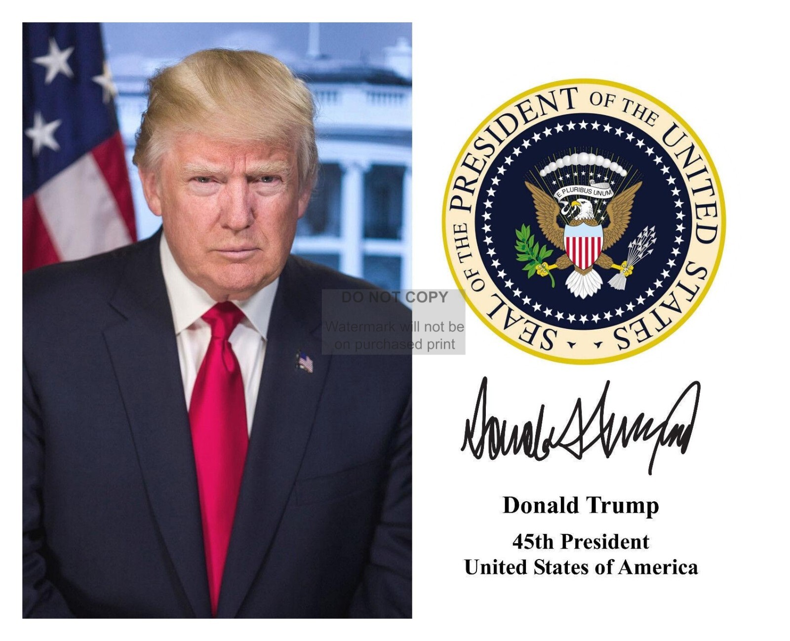 PRESIDENT DONALD TRUMP PRESIDENTIAL SEAL & SIGNATURE 8X10 PHOTO