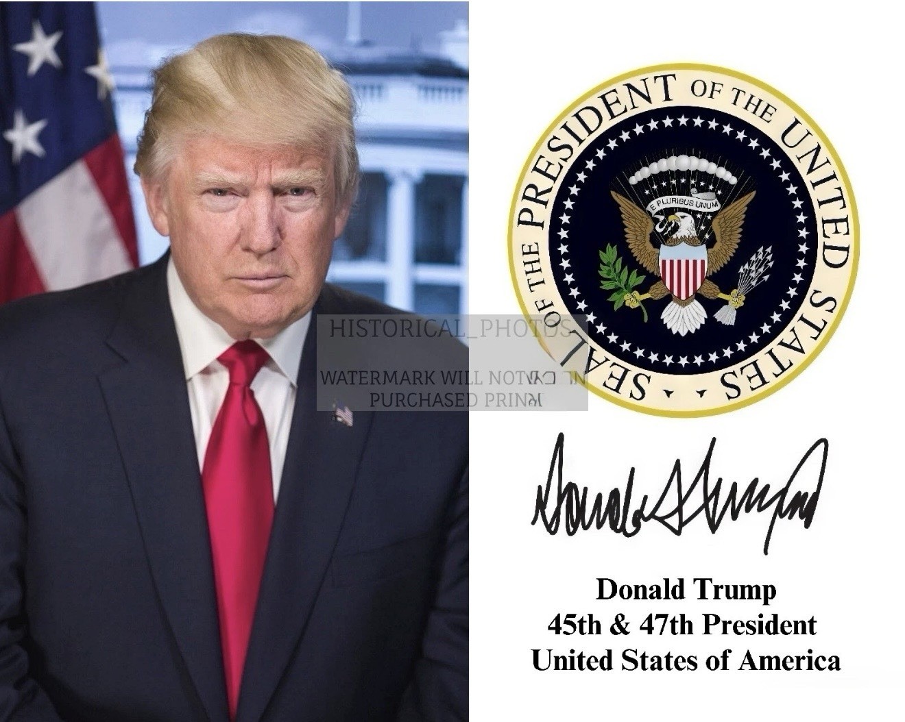 PRESIDENT DONALD TRUMP PORTRAIT PRESIDENTIAL SEAL & SIGNATURE 8X10 PHOTO 059