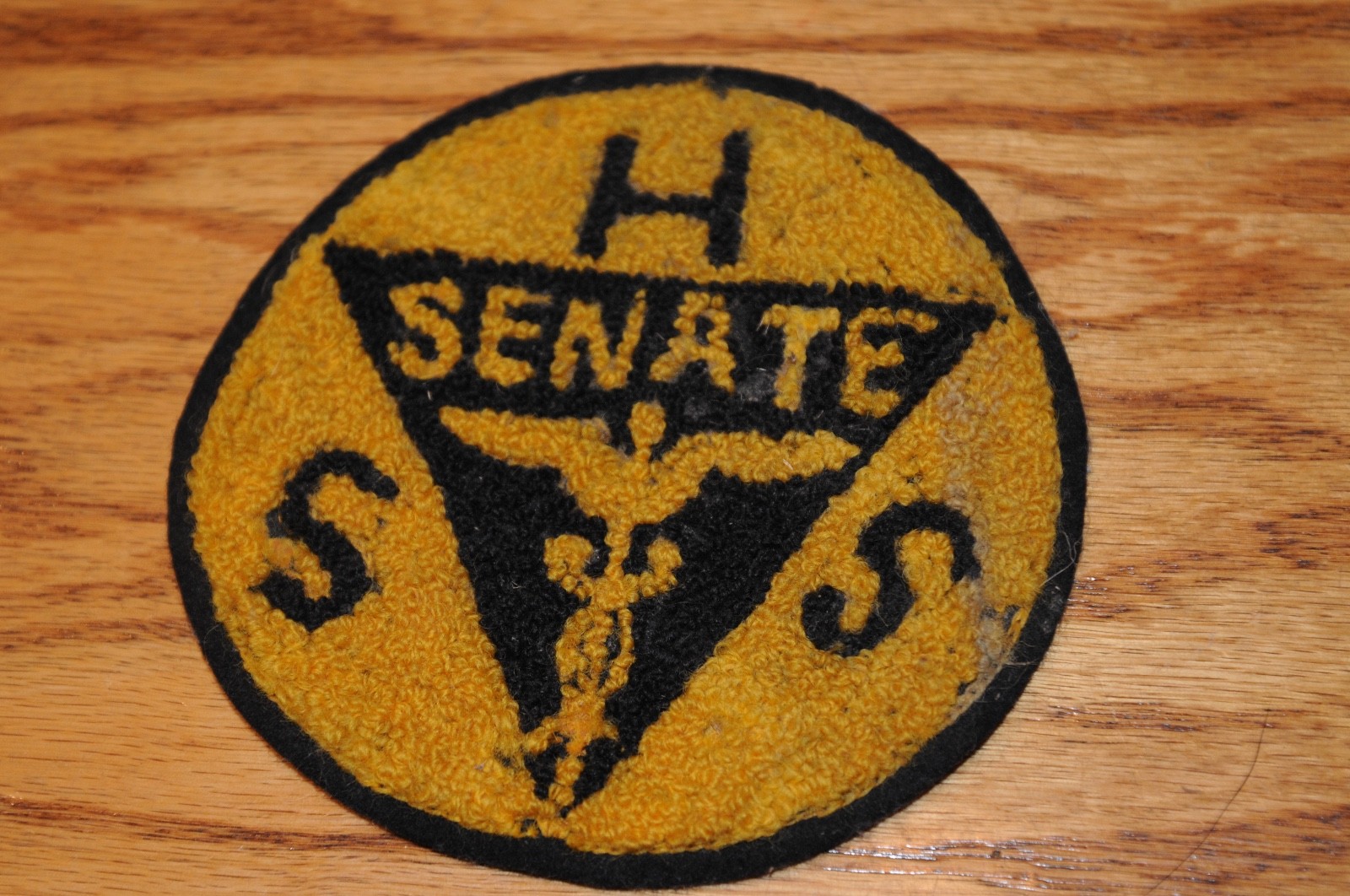Vint. Rare Health Services Patch HSS Senate Historical Memorabilia Political US*