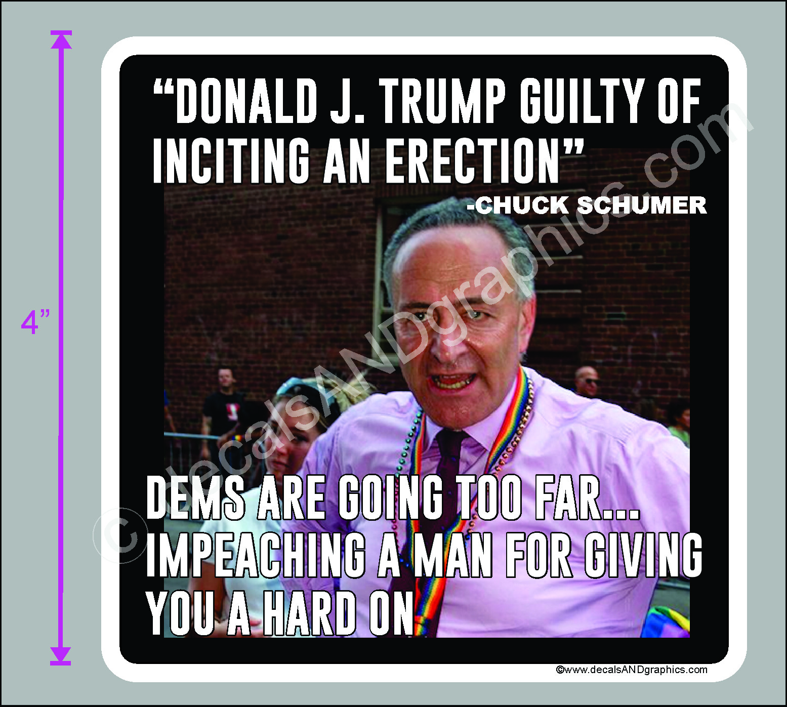 TRUMP 2020 STICKER SCHUMER ERECTION ANTI BIDEN HARRIS MAGA DEPLORABLE