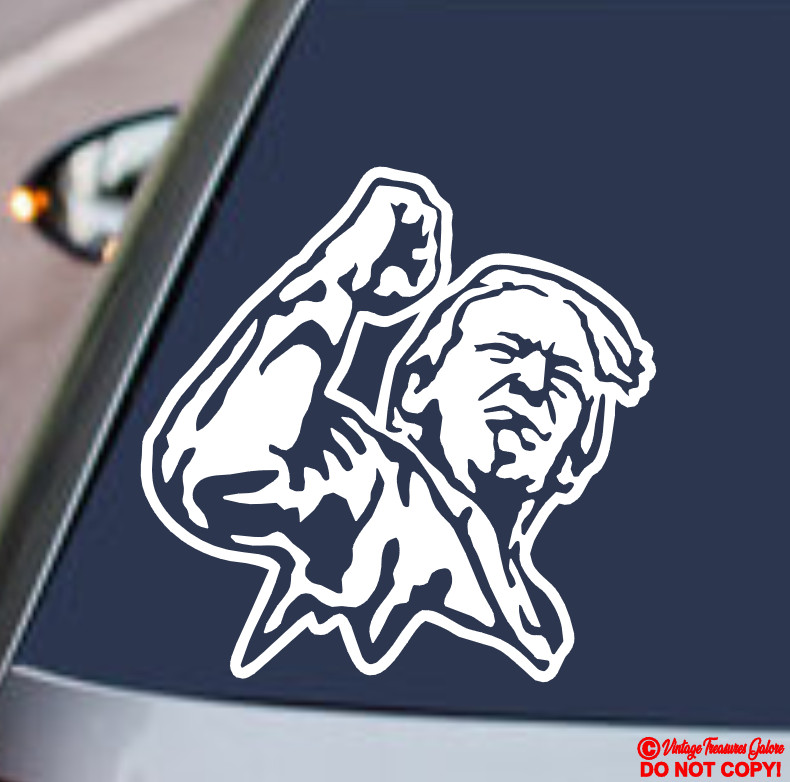 PRESIDENT DONALD TRUMP RAISED FIST FIGHT Vinyl Decal Sticker Car 2024 YOU MISSED