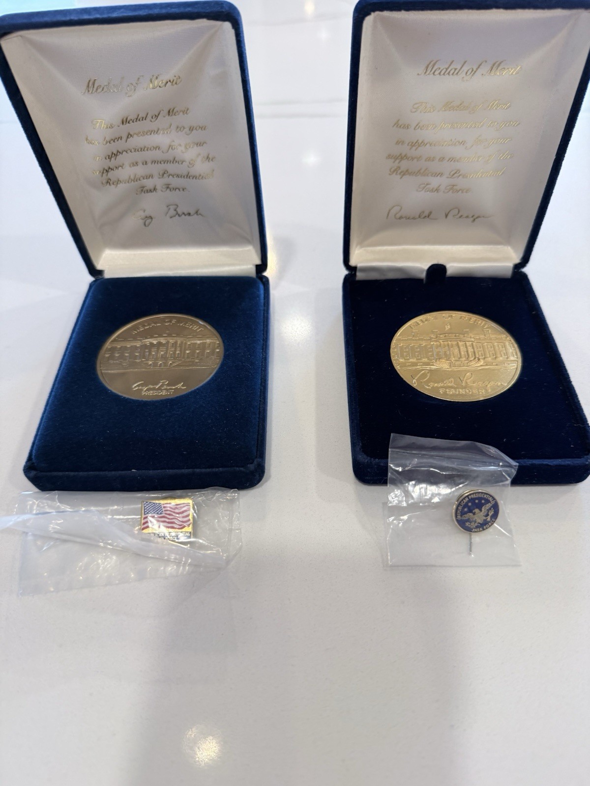 Republican Task Force Pins and Medals