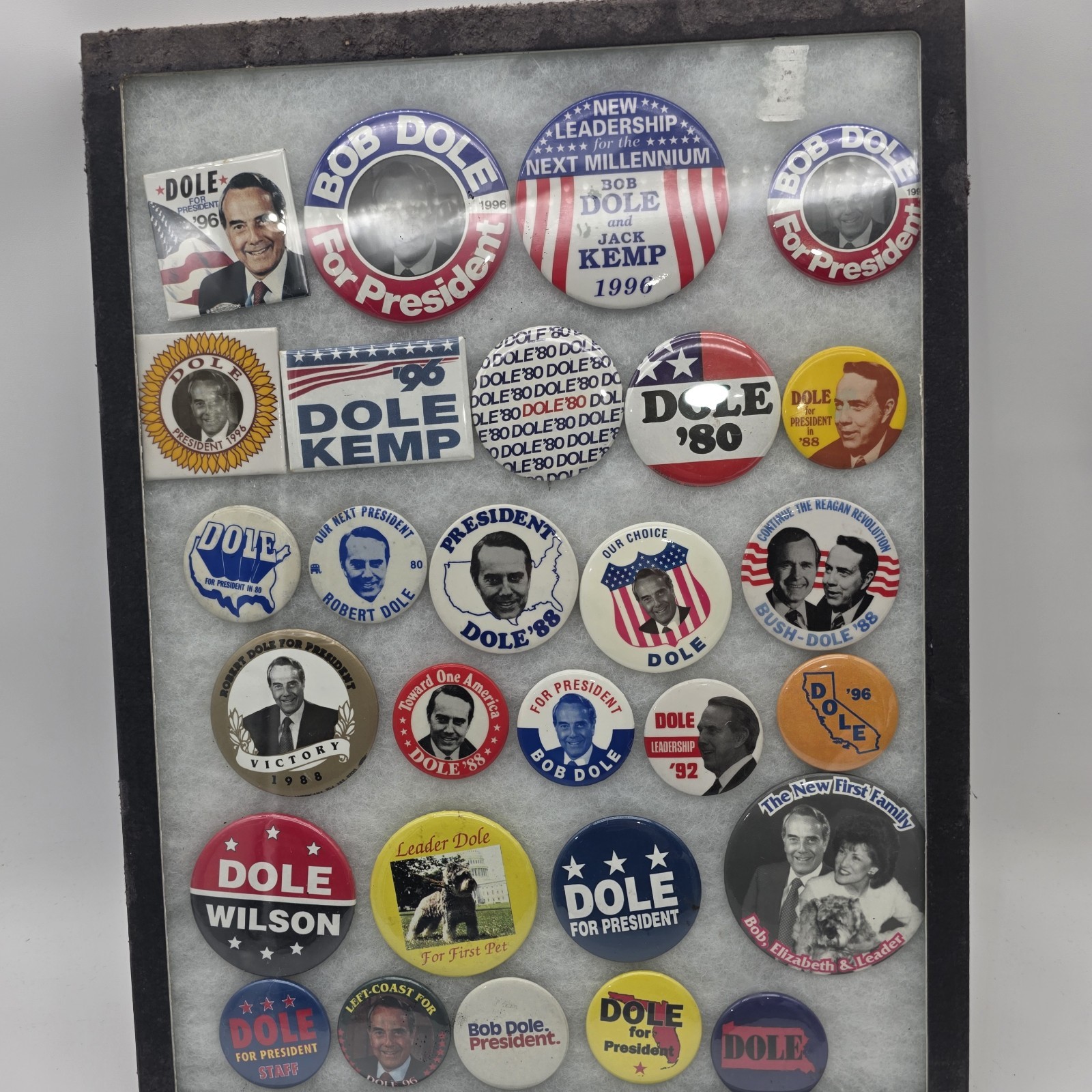 Collection Of 29 Robert Dole Campaign Pins In Display Case