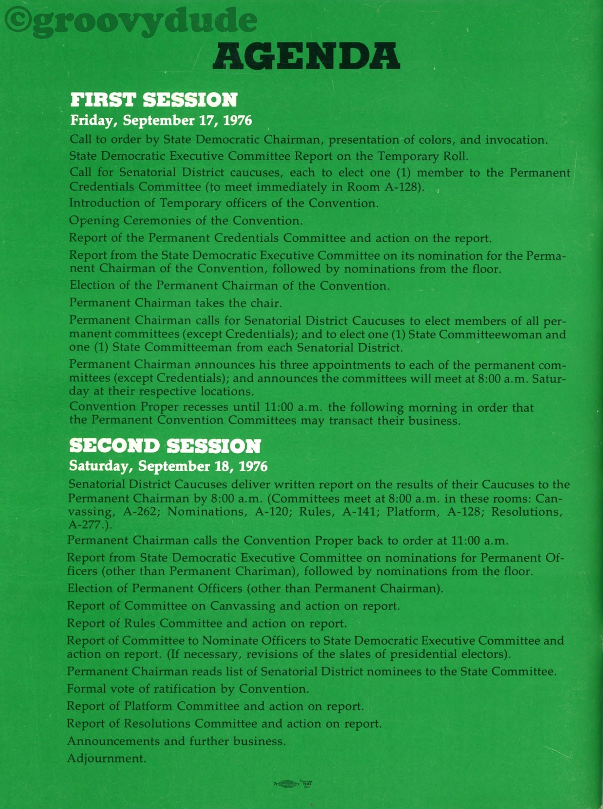 1976 Texas Democratic State Convention & Delegate Selection Carter Programs Lot