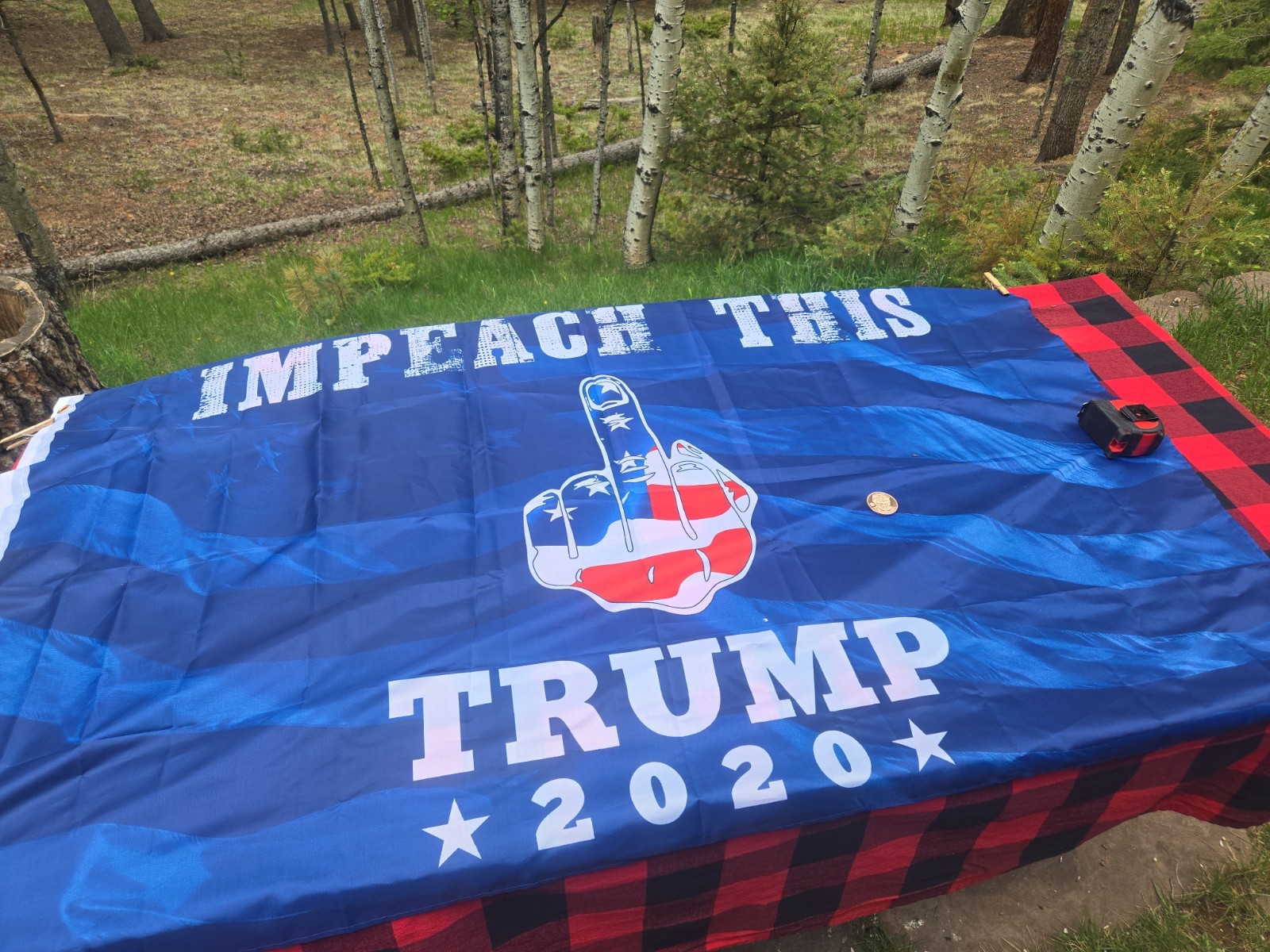 President Trump impeach this flag + copper Mug shot 1 oz. coin.