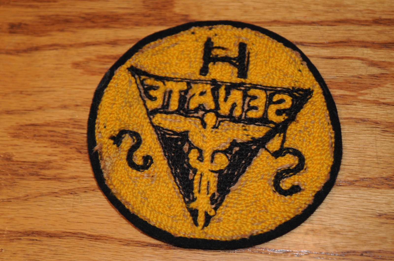 Vint. Rare Health Services Patch HSS Senate Historical Memorabilia Political US*