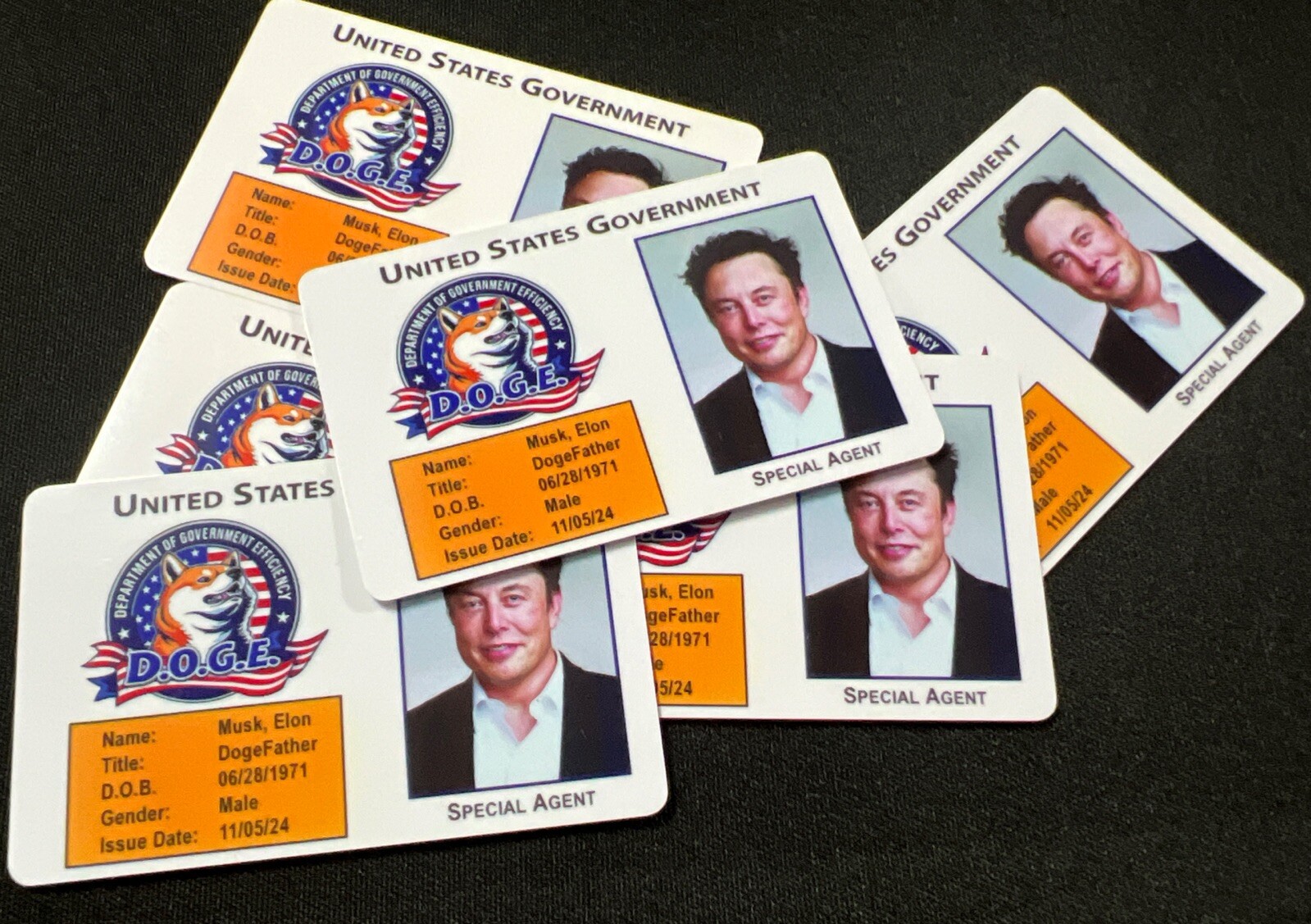 Elon Musk LOT OF 25 DOGE IDCard Plastic ID Trump D.O.G.E Ramsey