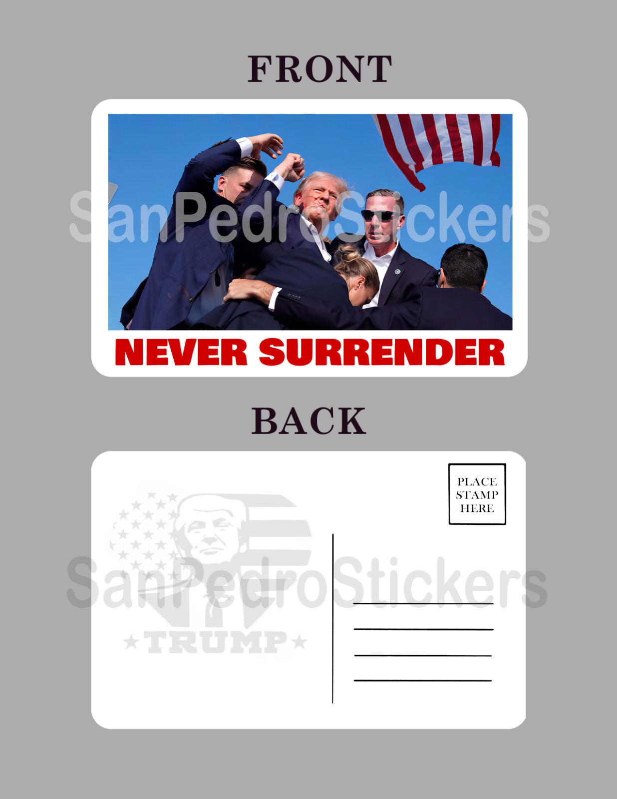 DONALD TRUMP 2024 – 4″ x 6″ Glossy Postcard 7/13 NEVER SURRENDER Free Shipping!