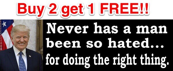 Donald Trump Bumper Sticker 2020 Decal Big 10 x 3 inches