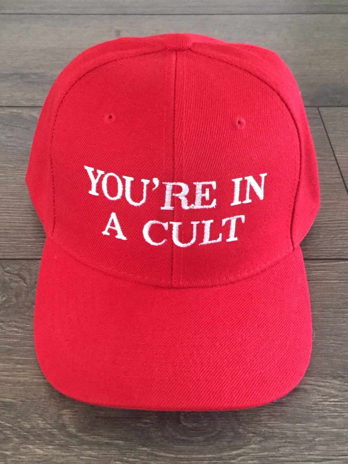 MAKE AMERICA GREAT AGAIN Parody YOU’RE IN A CULT Hat Anti Trump EMBROIDERED 2024