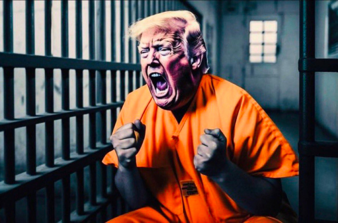 DONALD TRUMP ORANGE JUMPSUIT IN JAIL HUMOROUS FRIDGE MAGNET 5″ X 3.5″