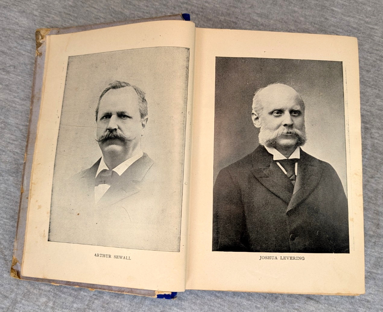 1896 The Great Campaign Political Srtuggles Voter Guide Presidential Election