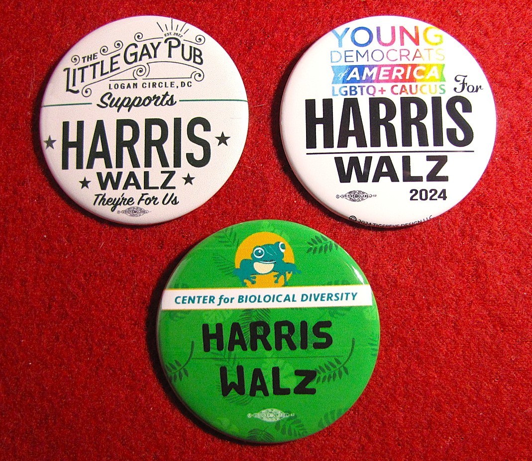 3 2024 Kamala Harris Walz Little Gay Pub DC Young LGBTQ 2 1/4″ Pinback Buttons