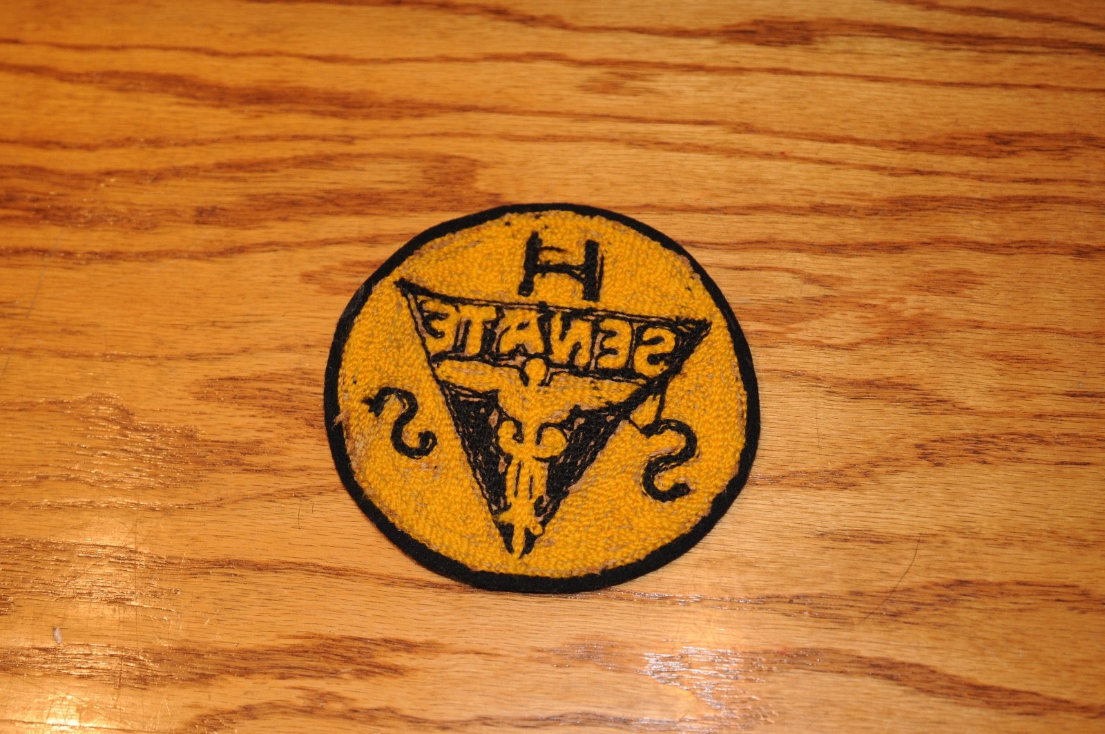 Vint. Rare Health Services Patch HSS Senate Historical Memorabilia Political US*