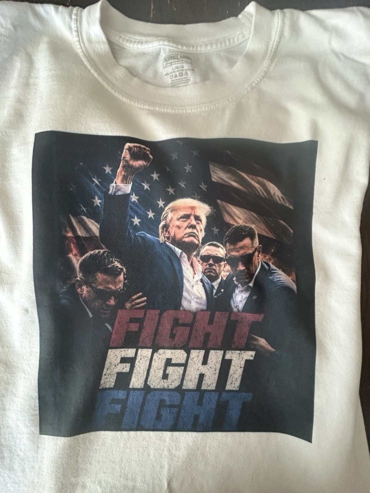 FIGHT FIGHT FIGHT Politics Graphic T-Shirt, United States Political Theme