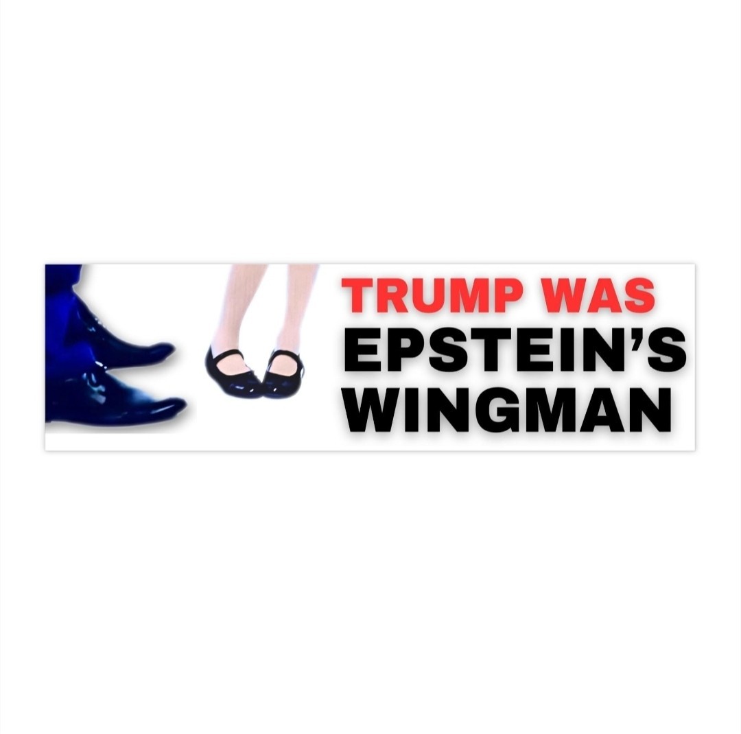 Trump Epstein Bumper Sticker, Anti Trump Decal, Trump I Did That Sticker