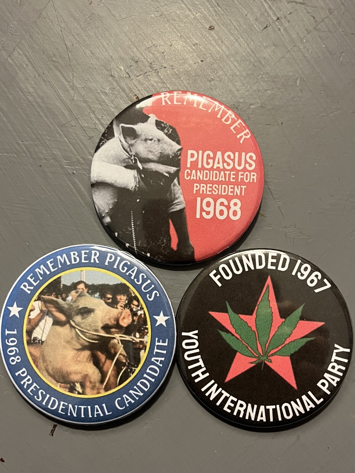 Pigasus For President Yippie Political Pinback Buttons Commemorative New 2.25”