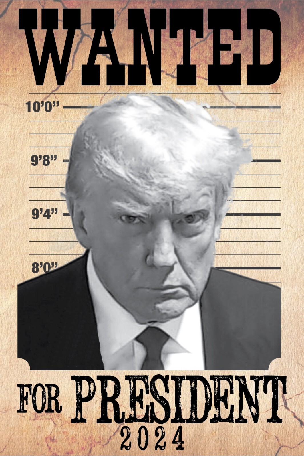 Donald Trump Mug Shot Stickers 10 PACK TRUMP 2024 WANTED FOR PRESIDENT 4×6 inch