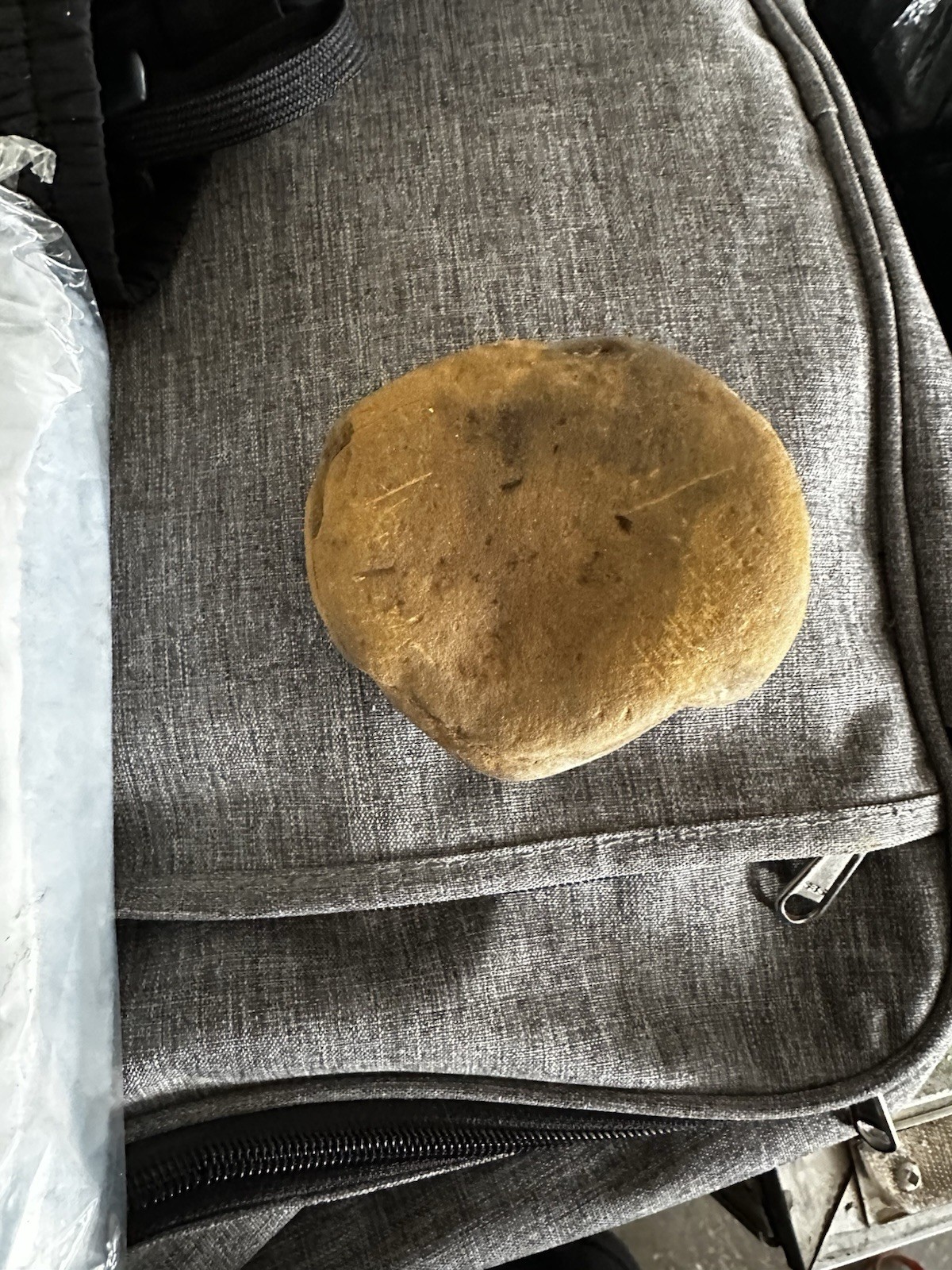 Donald Trump Rock