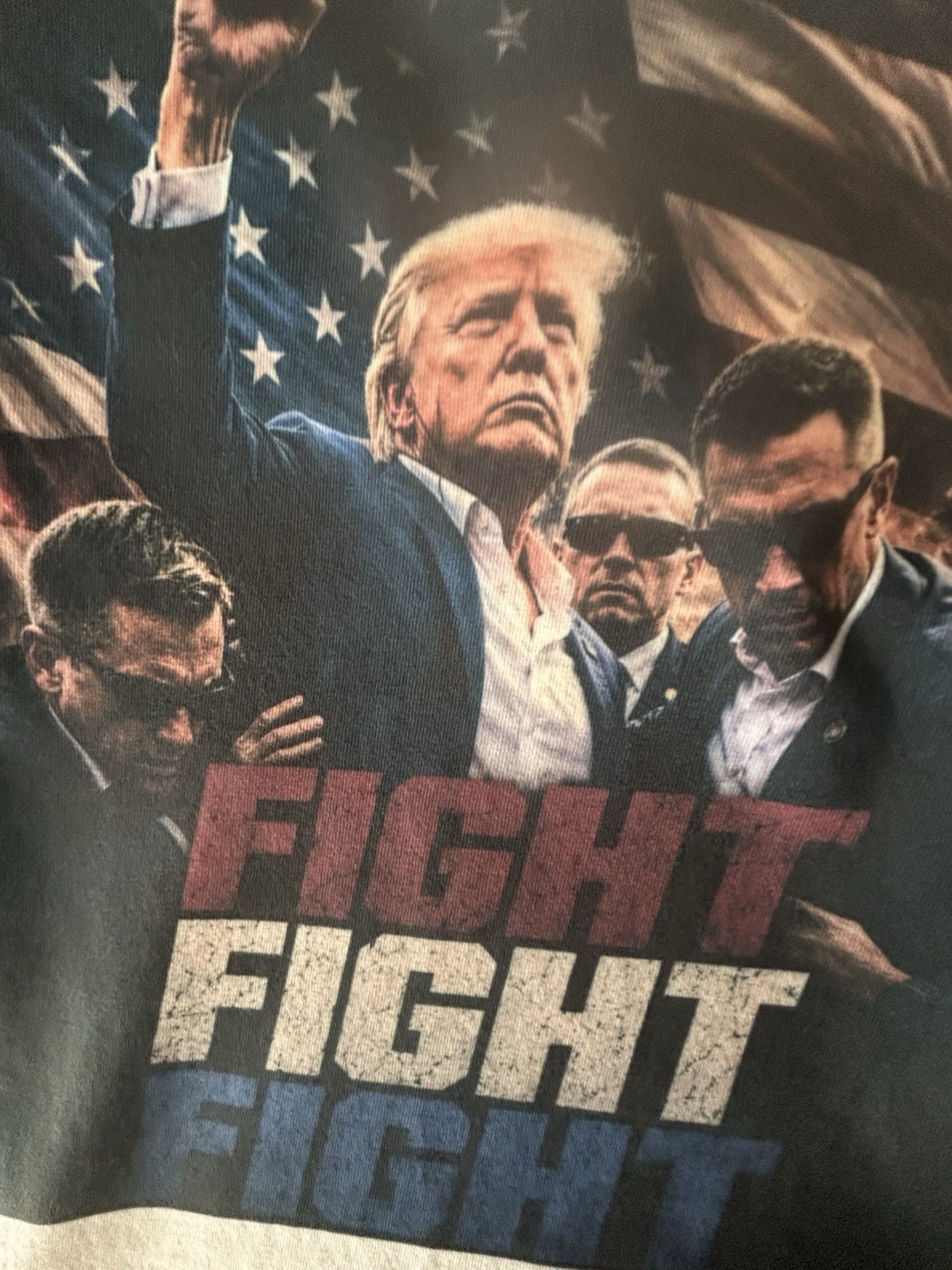 FIGHT FIGHT FIGHT Politics Graphic T-Shirt, United States Political Theme