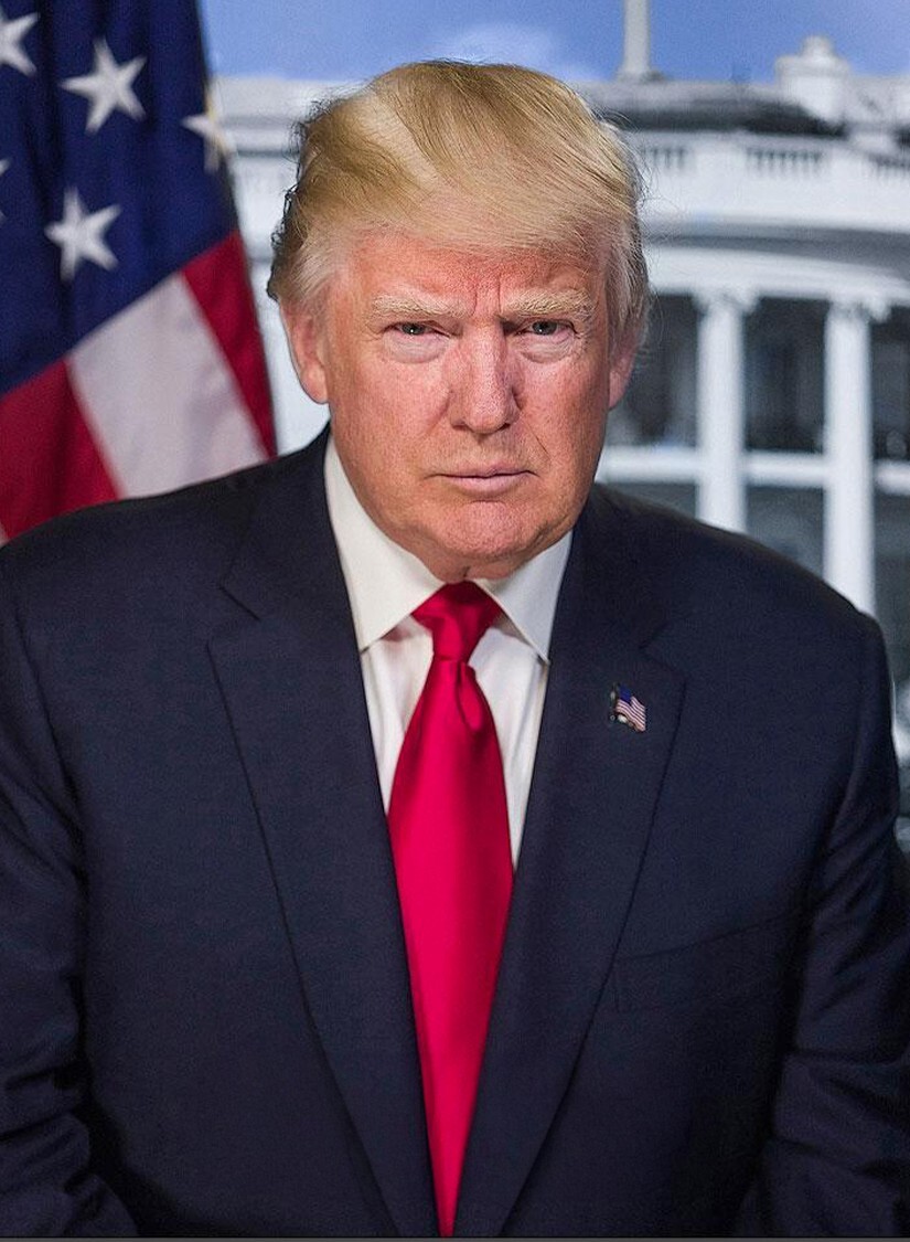 Trump 2024 Trading Cards ( Single Card )