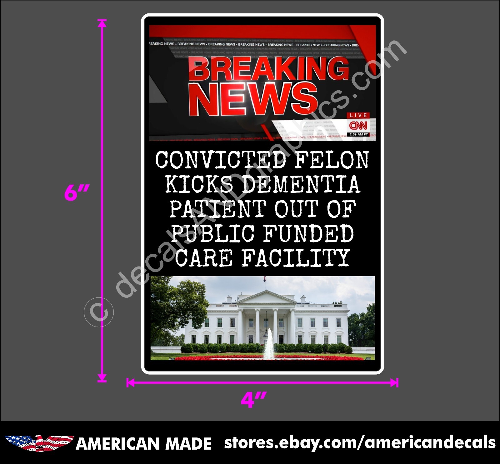 TRUMP 2024 DEMENTIA PATIENT WINDOW BUMPER STICKER POLITICAL