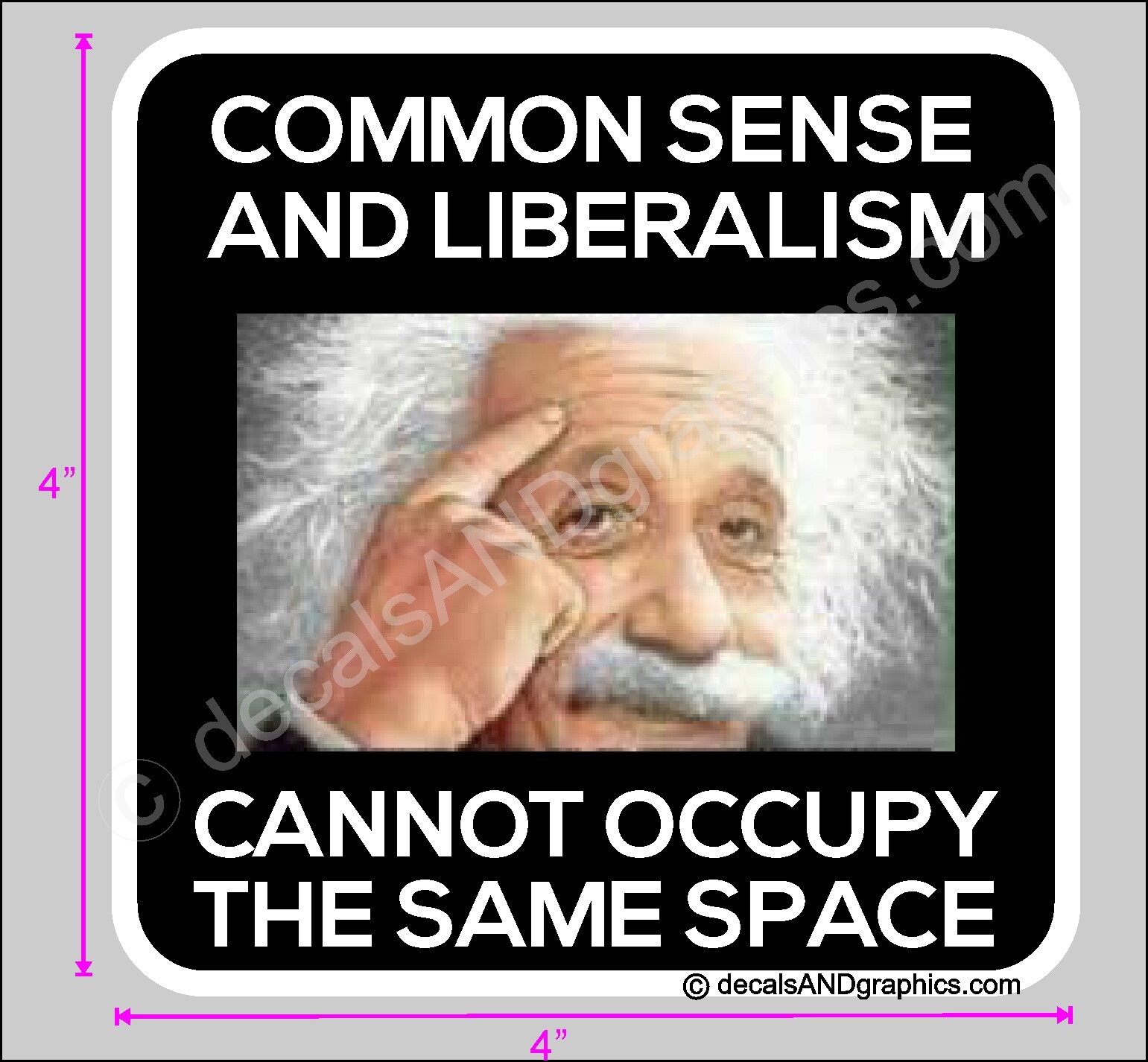 TRUMP 2020 STICKER COMMON SENSE AND LIBERALISM DECAL WINDOW BUMPER ELECTION