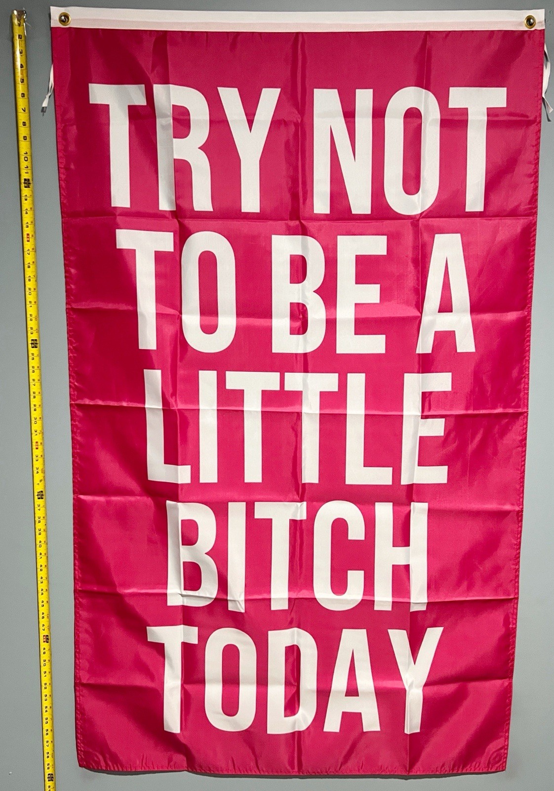 Motivation FLAG FREE USA SHIP Try Not To Be A Little Bitch Today Gym Banner 3×5′